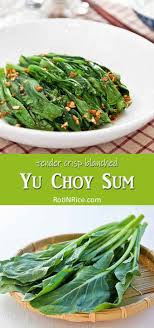 Maybe you would like to learn more about one of these? Yu Choy Sum Roti N Rice