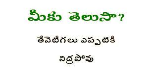 Honey Bee Saved By Sriram Good Health Tips Gk Knowledge Health Tips