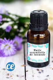 21 Utilisations De L Huile Essentielle De Lavande Que Tout Le Monde Devrait Connaitre Avec Images Huile Essentielle Lavande Huiles Essentielles Huile De Lavande