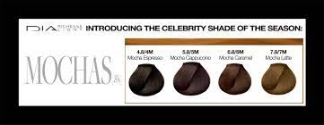 L Oreal Professionnel Dia Richesse Light Introducing 4 New Mochas Shades November 2014 Hair Color Chart Mocha Hair Mocha Color Hair