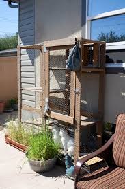 This is something you'll have to be very cautious about. Outdoor Cat Enclosure Ikea Hackers