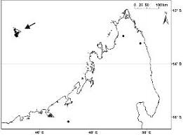 Image result for Coptosperma supra-axillare