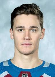 Mikhail Maltsev (b.1998) Hockey Stats and Profile at hockeydb.com