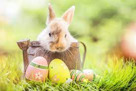 Easter, principal festival of the christian church, celebrating the resurrection of jesus christ on the third day after his crucifixion. When Is Easter Sunday 2021 Farmers Almanac