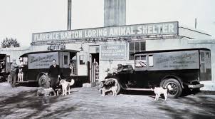 Maybe you would like to learn more about one of these? Our History Animal Humane Society