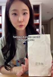 Exploring Han Jung Sun Mochis: A Korean Mukbang Delight