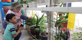 Berkebun di rumah dapat menjadi aktivitas yang menyenangkan sekaligus untuk dilakukan di sela kesibukan. Berkebun Suka Suka Di Rumah Rupanya Ini Yang Akan Anda Dapat