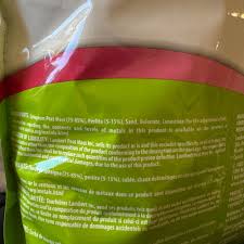 Image result for Kalanchoe hametiorum