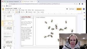 Reading frame changes, thus changing the amino acid sequence from this. Science With Mrs Lau Demonstration Of Virtual Fly Lab Facebook