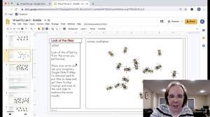 The module also shows how mutations in genes that encode cell cycle regulators can lead to the development of cancer. Science With Mrs Lau Demonstration Of Virtual Fly Lab Facebook