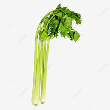 Apr 13, 2021 · laxatives to not help you burn excess fat. Celery For Weight Loss And Laxative Fresh Lose Weight Laxative Png Transparent Image And Clipart For Free Download