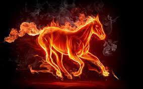 We did not find results for: 52 Neon Animal