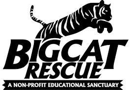 Contact Us Big Cat Rescue