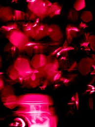 19 Richard Maxted ideas