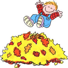 Jumping In Leaves I Am Such A Kid At Heart Heart For Kids Fun Outdoor Activities Student Jokes