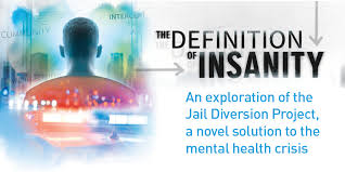 The Definition Of Insanity Virtual Film Screening And Panel Discussion National Law Enforcement Museum