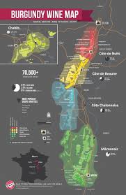 Everything You Should Know About Burgundy Wine