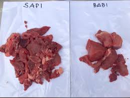 Padahal, jika tidak dikonsumsi secara berlebihan, daging memiliki banyak kandungan yang bermanfaat bagi tubuh. Daging Sapi Dioplos Babi Di Tangerang Ini Cara Membedakannya