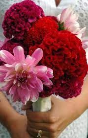 Bouquet1 Jpg 375 592 Beautiful Bouquet Pretty Flowers Fresh Flower Bouquets