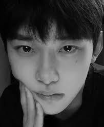 Amanda Lundblad's Instagram, Twitter & Facebook