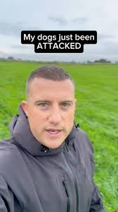 My dogs just been ATTACKED #dog #dogs #dogsofinstagram #dogtraining  #dogattack