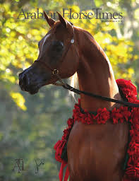 If you have any questions, you can contact us online or contact one of the officers for more information about paha. Arabian Horse Times Vol 43 No 6 By Arabian Horse Times Issuu