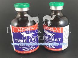 Last summer ann and dan were in the country. Time Fast 50 Ml Horse Camel Camel Camel Supplies