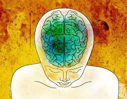 I'm going to assume that you are relatively new to meditation and that you enjoy our free meditation downloads, receive informative meditation tips, and benefit from special offers on guided meditations and meditation. The Benefits Of Meditation Mit News Massachusetts Institute Of Technology