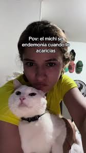 Nada que hacer jajajajaja asi lo amo ❤️ #cat #catsoftiktok #fyp  #viral_video #humor #lentejas