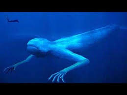 Ningen Humanoids Sea Creatures Living In Antartica Ocean Real Sea Monsters Weird Creatures Deep Sea Creatures
