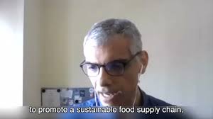 Sustainability: We Are Not Thinking Big Enough