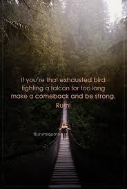 Pin On Top Rumi Quotes