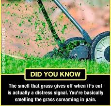 Pin On Thecompletefacts