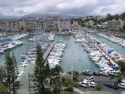 Un Requin Tigre De 3 5 M Apercu A Noumea Caledonie Nouvelle Caledonie Paysage