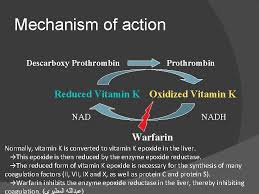 Warfarin produces its anticoagulant effect by inhibiting the hepatic production of clotting factors 2, 7, 9, and 10. Anticoagulants And Thrombolytic Objectives To Learn How Blood