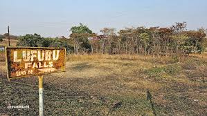 Image result for Zygotritonia atropurpurea