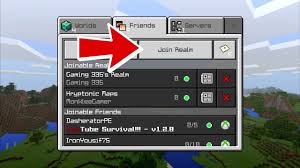 Very welcoming server with international members so you will never be alone. Minecraft Dantdm Realm Invite Code 11 2021