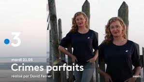 En replay gratuit sur ftv. Crimes Parfaits Deux Episodes Inedits Avec Julie Ferrier Ce Mardi Soir Sur France 3