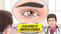 Image result for Start Eating These 12 Foods Every Day And Watch Your Eyesight Improve