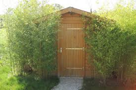 « des écrans de soie, des paravents de laque » (france). Amenagement Du Jardin La Haie De Bambous Un Ecran Vegetal
