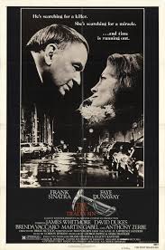 Raw Beauty - Embrace the Unfiltered