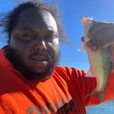 Savard Speakers Setup with HiQ 15