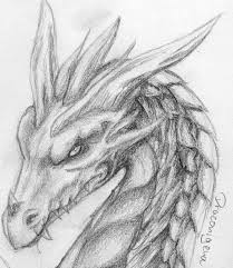 Calistathedragon new addition to the family thanks to reptilereserve for the amazing help and guidance on choosing the right pet • • • #dragon #drache #toptags #drachenkopf #serpichita #blood. Drachenkopf Bisaboard