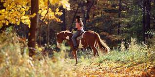 Horseback riding and trail rides in the shenandoah valley of virginia. Horseback Riding Blue Ridge Mountains And Cabin Rental