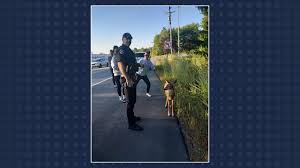 Luxy capi porn free watch leak luxy_capis free porn.