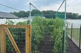 Main Street Wellington Garden Tour and Expo set for July 20