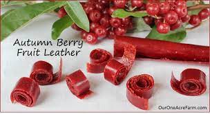 Before you pick your berries, taste them says viljoen. Autumn Olive Fruit Leather
