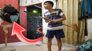 Pada buku mimpi 2d 3d 4d bergambar alfabet terdapat tafsir mimpi yang berbeda berkaitan dengan celana erek erek dan kode … materi terbaru. Kode Alam Kelelawar Masuk Kos Anak Kos Youtube