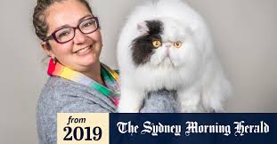 Ada informasi mengenai cara mendaftar dan aktivitas yang dilakukan selama cat show. Australian Cat Shows