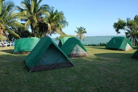 Do you prefer ordering gifts from catalogs instead of in stores or online? Bacalar Chico Cerulean Waters Expeditions